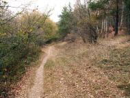 Ярове з panoramio.com