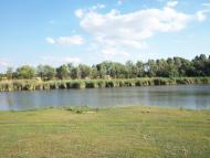 Новогупалівка з panoramio.com
