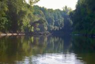 Підгір'я - Останні фото