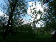 Панівці з panoramio.com