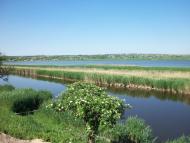 Веселянка - Останні фото