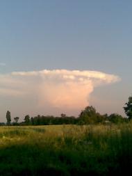 Бобруйки з panoramio.com