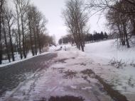 Рогізне з panoramio.com