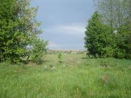 Рудка - Останні фото