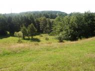 Івашківка з panoramio.com