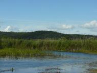 Климентове з panoramio.com