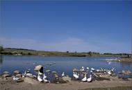 Катеринівка з panoramio.com