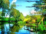 Сущани з panoramio.com