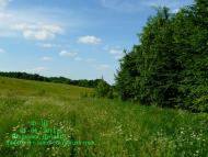 Шпиківка з panoramio.com