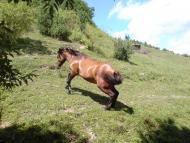 Перепростиня з panoramio.com