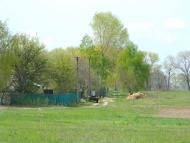 Дешки з panoramio.com