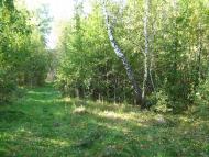 Льгів з panoramio.com