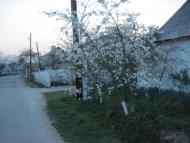 Мала Тур'я з panoramio.com