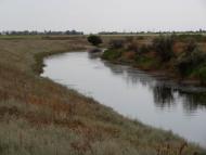 Косих з panoramio.com