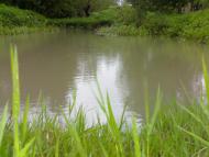 Стадня з panoramio.com