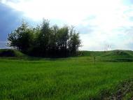 Капранське з panoramio.com