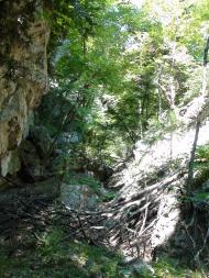 Польове з panoramio.com