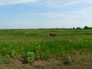 Строїтель з panoramio.com