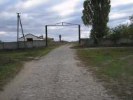 Скрипчин з panoramio.com