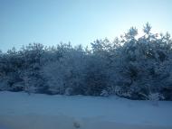 Квіткове з panoramio.com