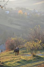 Стоки з panoramio.com