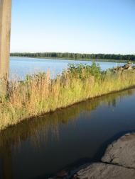 Нова Борова з panoramio.com