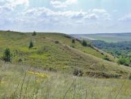 Русько-Орлівка з panoramio.com - Русско-Орловка