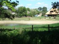 Тарасівка з panoramio.com