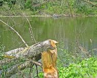 Балаклія з panoramio.com