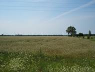 Скрипчин з panoramio.com