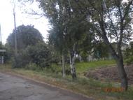 Тимченки з panoramio.com