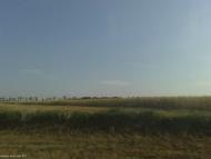 Зелений Гай - Останні фото