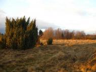 І СВІТАЄ, І СМЕРКАЄ