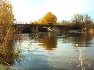 Бобрик Второй - Последние фото