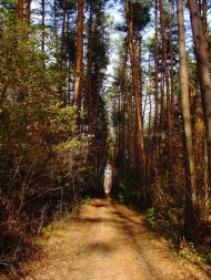 Шкарівка з panoramio.com