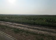 Єлизаветівка з panoramio.com