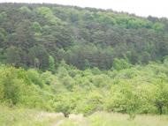 Паївка з panoramio.com