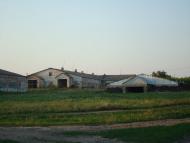 Токарівка з panoramio.com