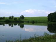 Цапівка з panoramio.com