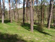 Джурин з panoramio.com