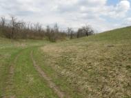 Грушівка з panoramio.com