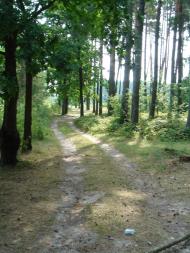 Студениця з panoramio.com