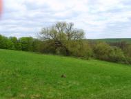 Стрижавка - Останні фото