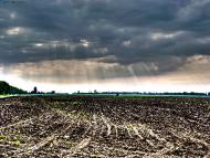 Ясинувате - Останні фото