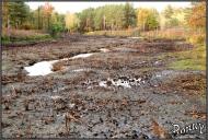 Тепениця з panoramio.com