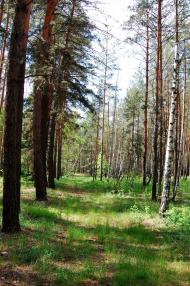 Таганка з panoramio.com