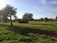 Корощине з panoramio.com