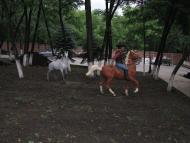 Старі Терни з panoramio.com