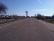 Реклинець з panoramio.com