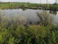 Мирне з panoramio.com